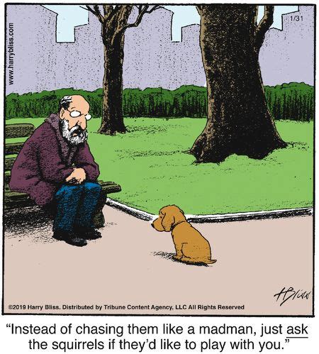 Bliss cartoons .